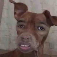 Ba con mất não
