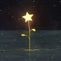 Ánh sáng kì lạ?