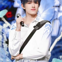 Trương Cực(em)