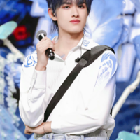 Trương Cực(em)
