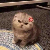 Tác giả không ác