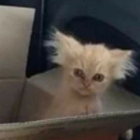 Tất cả vai quần chúng cứ để anh lo😎😎