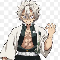 Shinazugawa Sanemi