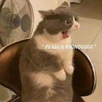 hệ thống/tác giả