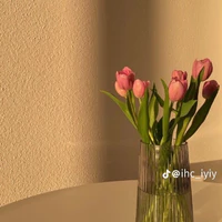 harem của luky