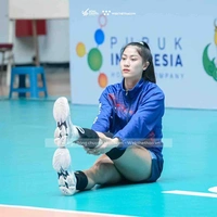 K.Trinh