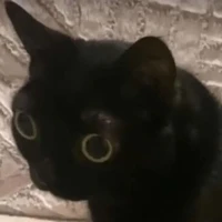 @@@@