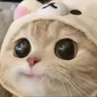 hệ thống01