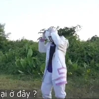 505 ( con nợ )