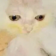 bà hàng xóm