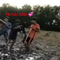 tác giả