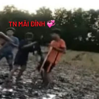 tác giả