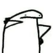 Y/N