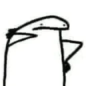 Y/N