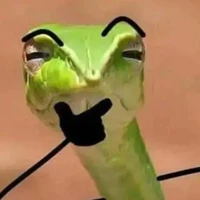 con tg nhá