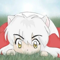 Monkey D Inuyasha