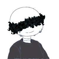 Error Sans 808