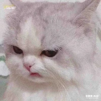giận cả tg