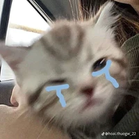 tác giả
