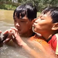 T/G