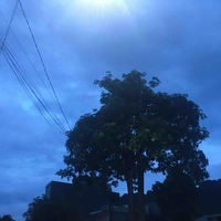 Quỷ
