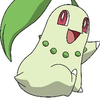 chotacha