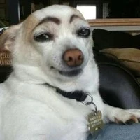 all sinh tố - ai thì trừ