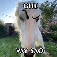 tác giả😚
