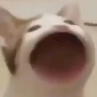 Sos