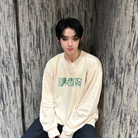 Hongshihoshi