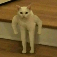 bum bô