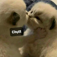 ai cũng được