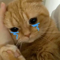 tác giả
