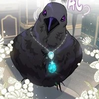 Riomi_quạ đưa tin của em