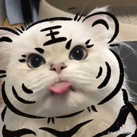 người bí ẩn 1