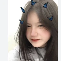 đinh hà hải âu