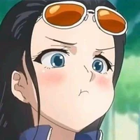 Ri (t/g)