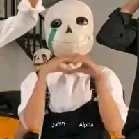 Alpha sans