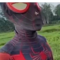 Sì pai đờ men