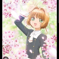 Sakura