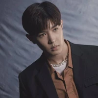 Tang Diên - anh trai n9