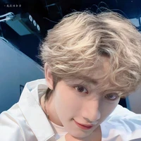 Đinh Trình Hâm
