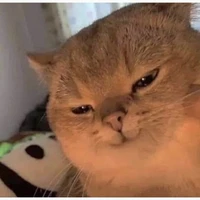 bé t/g thiểu năng