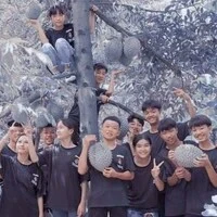 cả nhóm