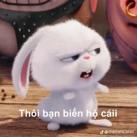 Thỏ Soo