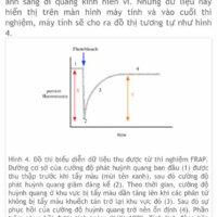 Tác giả thỉu năng