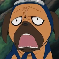 pakkun