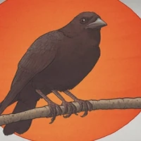 ruru