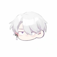 Zio(16t)