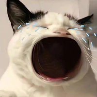 Tác giả